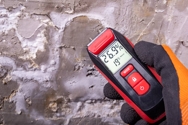 Best Affordable Mold Removal  in Triangle, VA