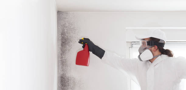 Crawl Space Mold Removal in Triangle, VA
