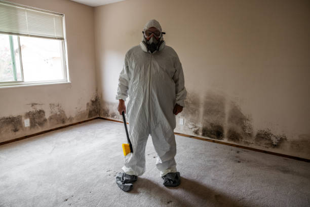 Triangle, VA Mold Removal Company